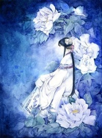 巫界術士