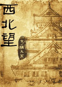 西北望