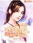 設計師小姐的情痴老公