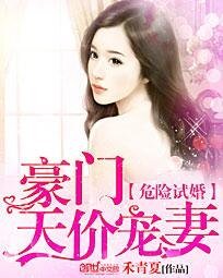 危險試婚:豪門天價寵妻