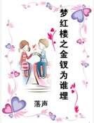 夢紅樓之金釵為誰埋