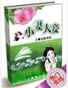 小妻大妾
