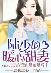 婚前婚後,陸少的暖心甜妻