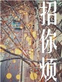 招你煩