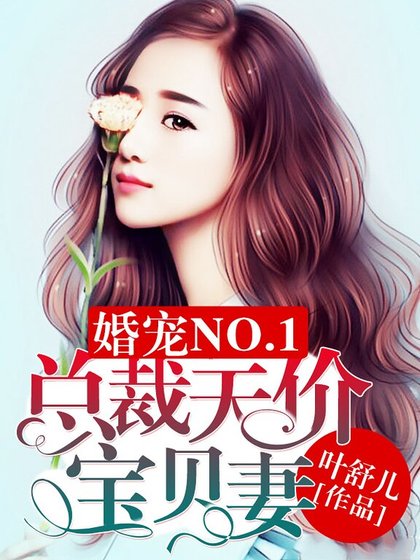 婚寵NO.1:總裁天價寶貝妻