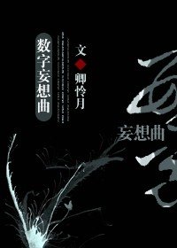 (綜小說同人)數字妄想曲