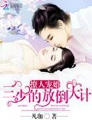 寵婚到底:三少的寶貝妻