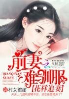 花樣追妻:前妻難馴服