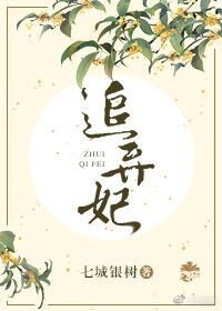 追棄妃