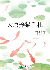 大唐養貓手札