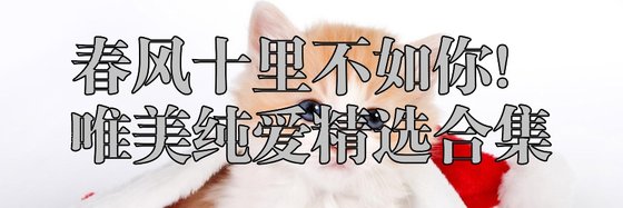 春風十里不如你！唯美純愛精選合集