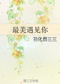 (BL/小說同人)最美遇見你