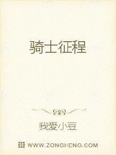 騎士征程