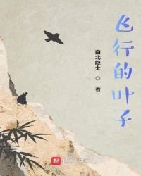 飛行的葉子