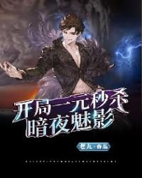 開局一元秒殺暗夜魅影