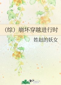 (綜)崩壞穿越進行時