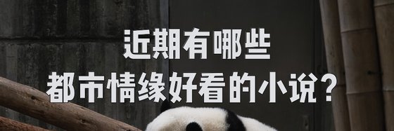 近期有哪些都市情緣好看的小說？