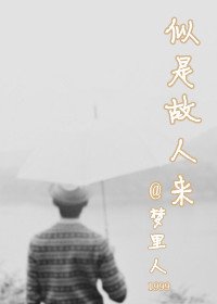 似是故人來