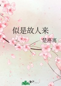 似是故人來