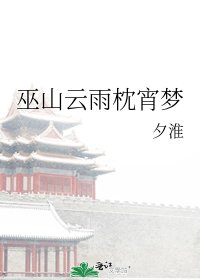 巫山雲雨枕宵夢