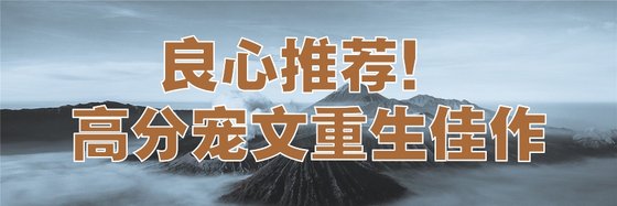 良心推薦！高分寵文重生佳作