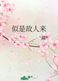 似是故人來