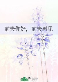 前夫你好,前夫再見