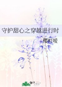 守護甜心之穿越進行時