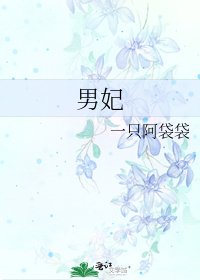 男妃