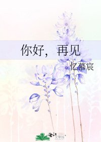 你好,再見