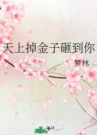 天上掉金子砸到你
