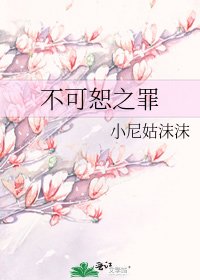 不可恕之罪