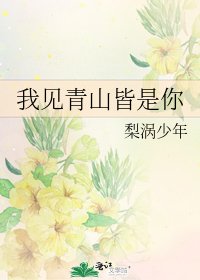 我見青山皆是你