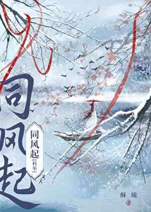 穿書女配,但考科舉
