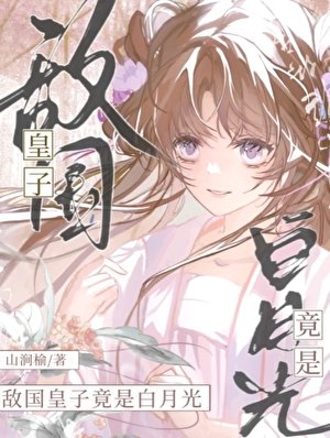 敵國皇子竟是白月光