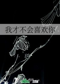 我才不會喜歡你