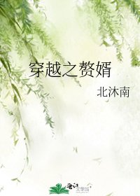 穿越之贅婿