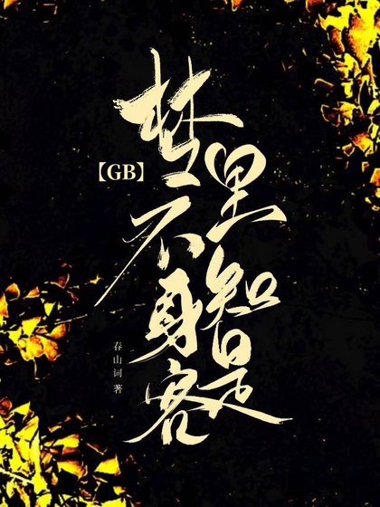 夢裡不知申是客GB