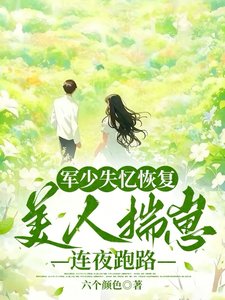 軍少失憶恢復,美人揣崽連夜跑路/六零藏區遇前任,失憶首長爭又搶