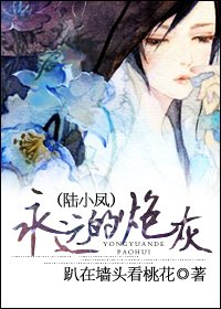 (陸小鳳同人)永遠的炮灰