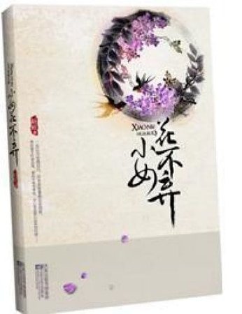 乞丐丫鬟古代尋情記:不棄(網路版)