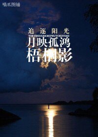 月映孤鴻梧桐影/小交警,愛的就是你